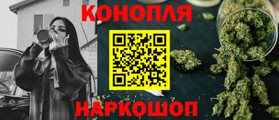 индика Обь