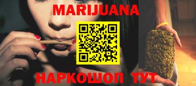 индика Обь