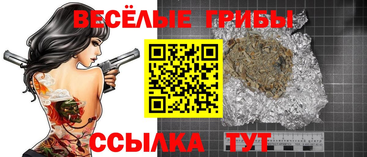 Ртищево  Псилоцибиновые грибы ЛСД  Псилоцибиновые грибы MAGIC MUSHROOMS  Вход с VPN 